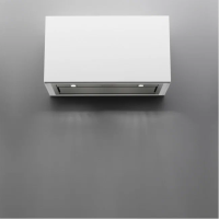 Встраиваемая вытяжка FALMEC E.ION GRUPPO INCASSO 50 (450) Встраиваемая вытяжка FALMEC E.ION GRUPPO INCASSO 50 (450)