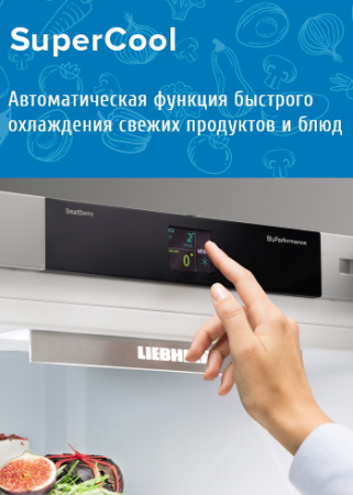 Холодильник Liebherr KBef 3730 Comfort Холодильник Liebherr KBef 3730 Comfort