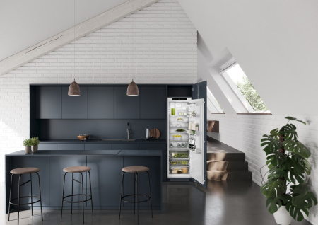 Встраиваемый холодильник Liebherr IRBSe 5120 Plus